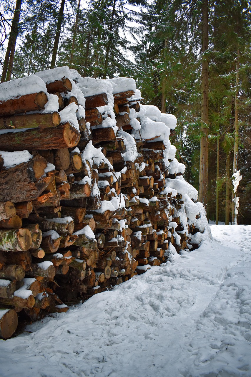 testimonial-img firewood, sawmill, tree, wood, winter, snow, nature, forest