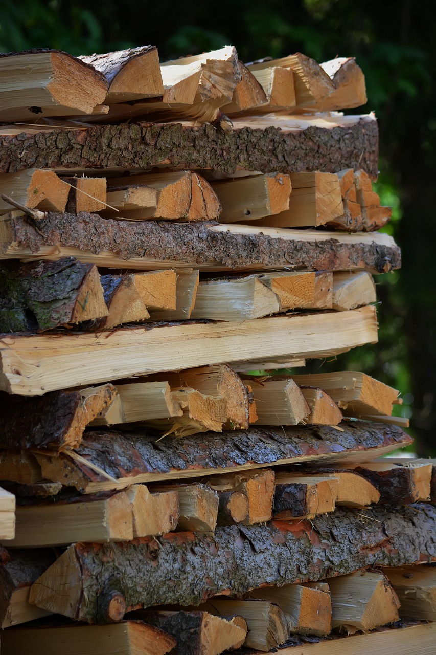 why-choose-us-02 firewood, trees, lumber, the woods, heating, eco, nature, wooden